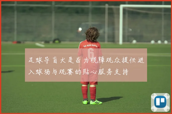 足球导盲犬是否为视障观众提供进入球场与观赛的贴心服务支持