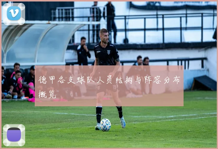 德甲各支球队人员结构与阵容分布概览