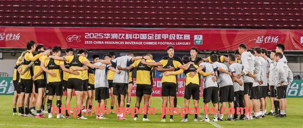 江南体育APP-德甲联赛中最欠揍且犯规较多的球队介绍